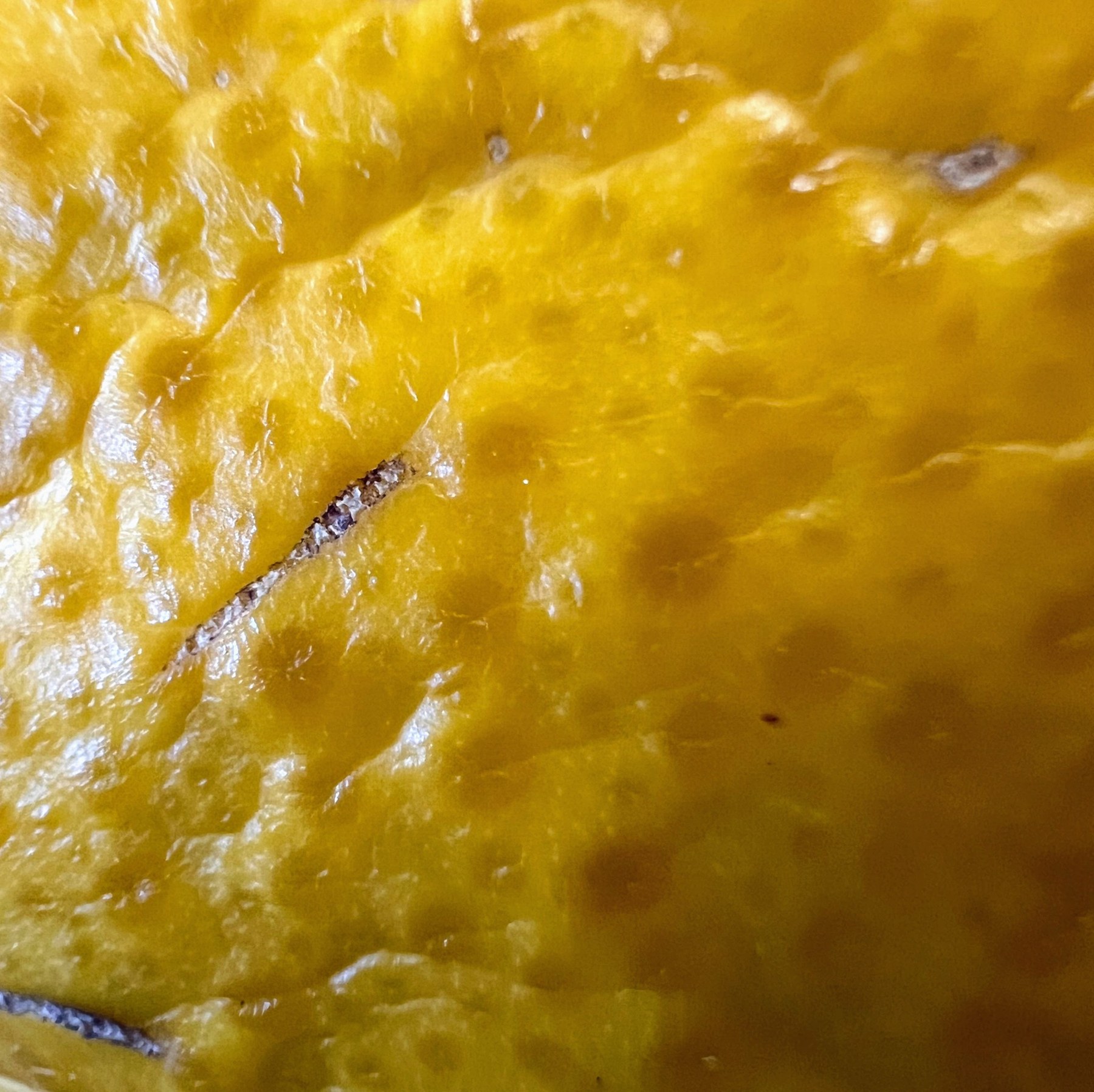 Lemon curd, primo piano